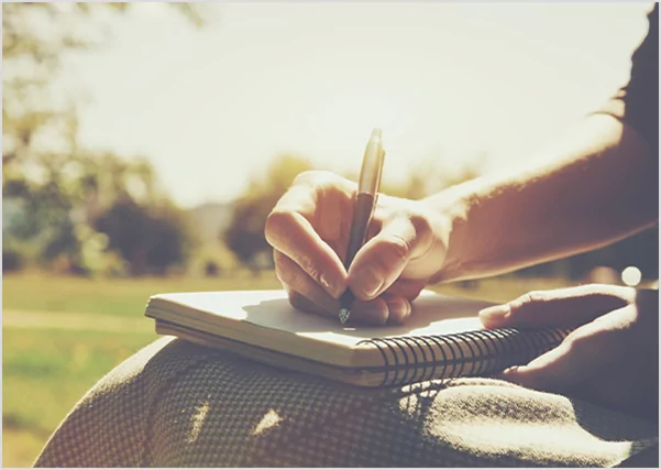 Script Writers